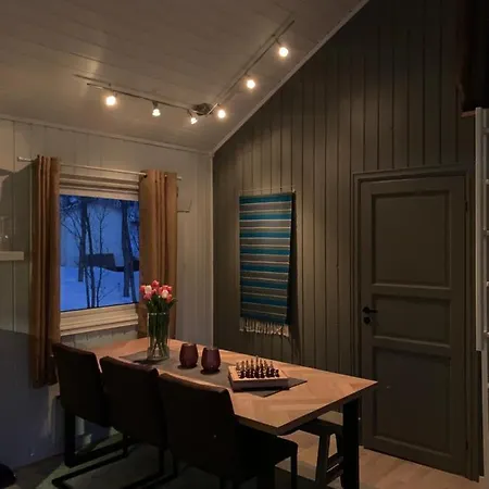 Cabin In *